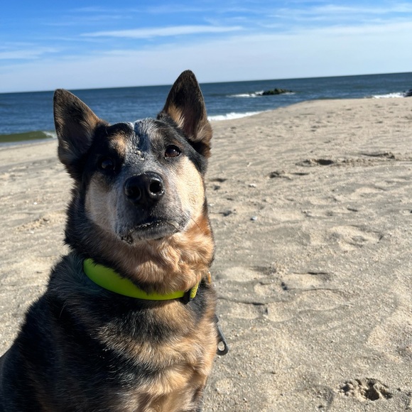 Meet your posher, Jess - Picture 1 of 1